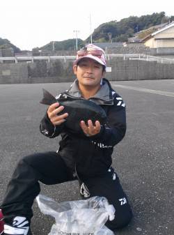 串本の磯　コンスタントなイサギ釣果の中グレ…