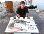 黒島の筏チヌ釣り　チヌの他カワハギなど多彩…