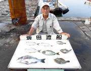 黒島の筏チヌ釣り チヌの他カワハギなど多彩な魚種で楽しめます