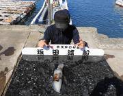 黒島の磯　ヤエンのアオリイカ0.7kgや0.8kgのナイスサイズも♪