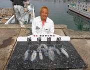 黒島の磯　エギングでアオリイカ0.6㎏まで…