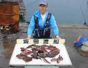 黒島の磯　ウニでサンバソウ2枚、アジの切り身ではガシラ数釣り