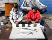 黒島の磯　活けアジの泳がせ釣りでメジロ64…