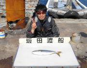 黒島の磯　イワシカラーのミノーにハマチ47…