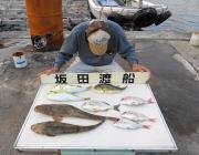 黒島の筏　マダイ・マゴチ・サバフグなど