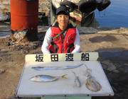 黒島の磯　エギングでアオリイカ　ほかハマチ…