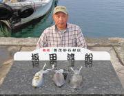 黒島の筏・磯　ヤエンでアオリイカ0.5kg