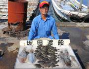 黒島の磯　ヤエンでアオリイカ〜1.0kg７…