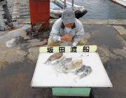 黒島の磯	ヤエンでアオリイカ0.9～1.3㎏6ハイ！