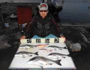 黒島の筏　チヌ年なし53㎝が出ました！