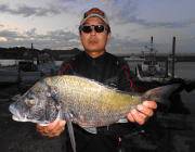 黒島の筏　チヌ年なし53㎝が出ました！