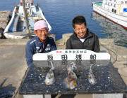 黒島の磯　ヤエンでアオリイカの釣果