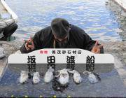 黒島の磯　ヤエンでのアオリイカ釣果　ほかア…