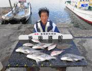 黒島の筏　42〜45cmのチヌを4枚！