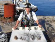 黒島の磯　ヤエンでのアオリイカ、型よくなっ…