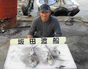 黒島の磯　ヤエンでのアオリイカ、型よくなってきています