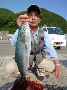 神谷一文字で小グレ・アイゴ　沖一文字内向きでハマチ　カゴ釣りでの釣果