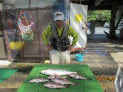 田井の釣り堀　メジロ・シマアジ・マダイの釣果