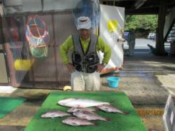 田井の釣り堀　メジロ・シマアジ・マダイの釣…