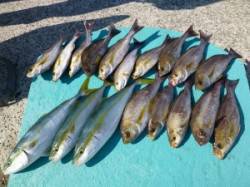 沖一文字内向き　カゴ釣りでイサギ・ハマチの…