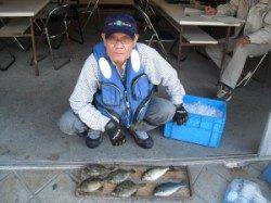 有田の磯　カノクビ磯で良型チヌとグレ・アイゴ