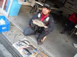 キハチ磯、長磯でフカセ釣り　アイゴ・グレ・…