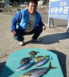 神谷一文字でのませ& かご釣り　メジロにスマガツオ