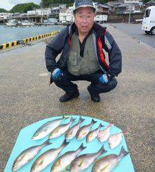 ヒラバエでイサギ・ハマチ、神谷一文字でグレ・ハマチ