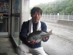 紀北初島の磯・カンゴバエにてフカセでグレの釣果