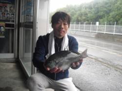 紀北初島の磯・カンゴバエにてフカセでグレの…