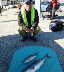 ヒラバエでイサギが良く釣れました☆　神谷一文字では青物回遊