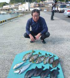 神谷一文字でグレ・アイゴ・ハマチ　ヒラバエでイサギ・ハマチ