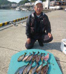 神谷一文字でグレ・アイゴ・ハマチ　ヒラバエでイサギ・ハマチ