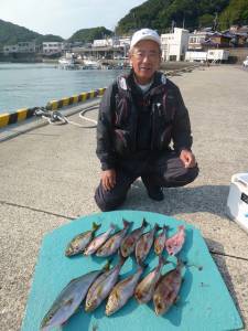 神谷一文字でグレ・アイゴ・ハマチ　ヒラバエでイサギ・ハマチ