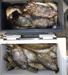 カルモ島　フカセ釣りでアイゴ、ヌカ切りでカワハギ・グレなど