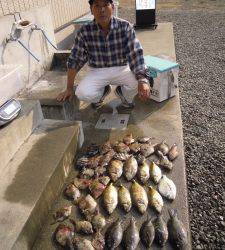 カルモ島　フカセ釣りでアイゴ、ヌカ切りでカワハギ・グレなど