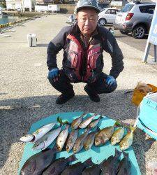 ヒラバエにてグレ40cm　磯でイサギ、ハマチも好釣