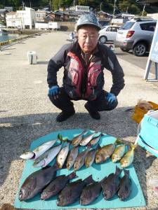 ヒラバエにてグレ40cm　磯でイサギ、ハマ…