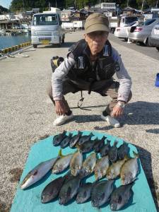 ヒラバエにてグレ40cm　磯でイサギ、ハマチも好釣