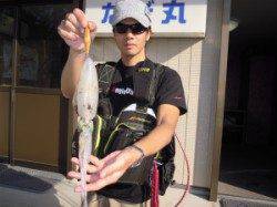 湯浅の磯・カルモ島　エギングでアオリイカ　磯でアイゴ好調！