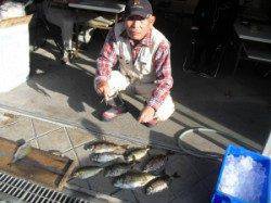 カマ磯　フカセ釣りで良型アイゴの釣果