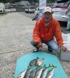 神谷一文字、ヒラバエにてカゴ釣りでイサギ、ハマチ好釣です