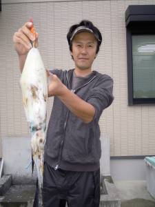 湯浅の磯　エギングでアオリイカ胴長27cm…