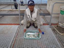 神戸市立須磨海づり公園　サビキでアジ&am…