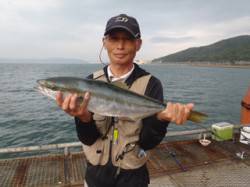 須磨海づり公園　のませでメジロ62.0cm…