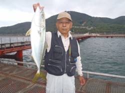 ノマセ釣りでメジロ62cm！　須磨海づり公…