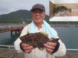 須磨海釣り公園　ハゲ掛けでマルハギ37cm