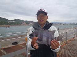 須磨海釣り公園　落とし込みでイシダイ32c…