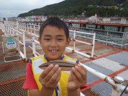 須磨海づり公園　お子様がシラサをエサにベラの釣果