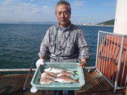 須磨海づり公園　ウキ流し釣りでハマチとマダイの釣果